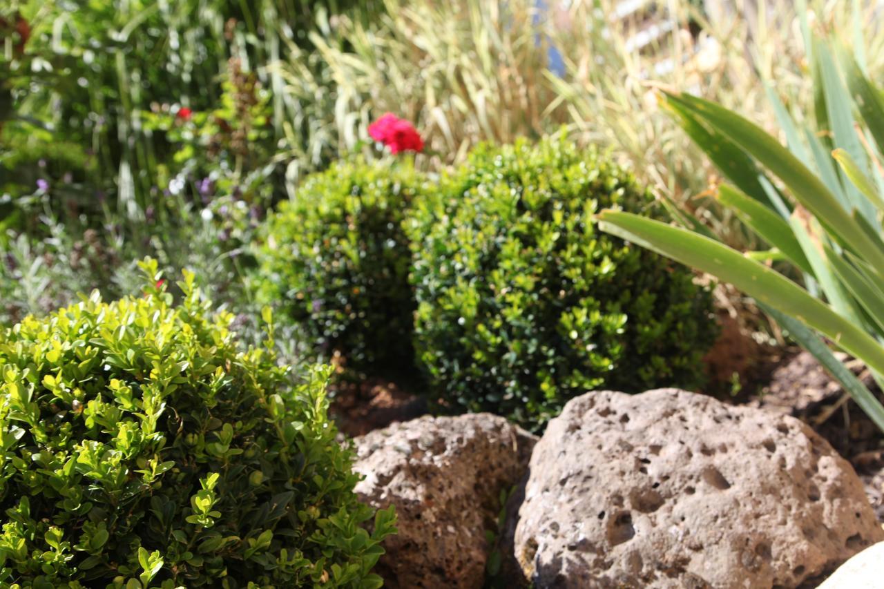 Pension & Appartments Landhaus Bettina Φούλντα Εξωτερικό φωτογραφία